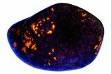 Polished Yooperlite Pebble - Highly Fluorescent! #176850-1